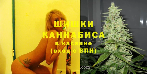 герыч Пересвет