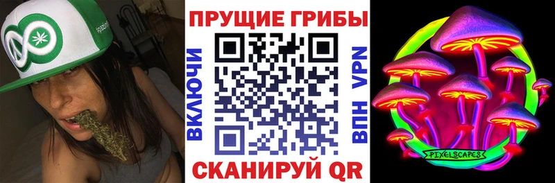 Псилоцибиновые грибы прущие грибы  Микунь 